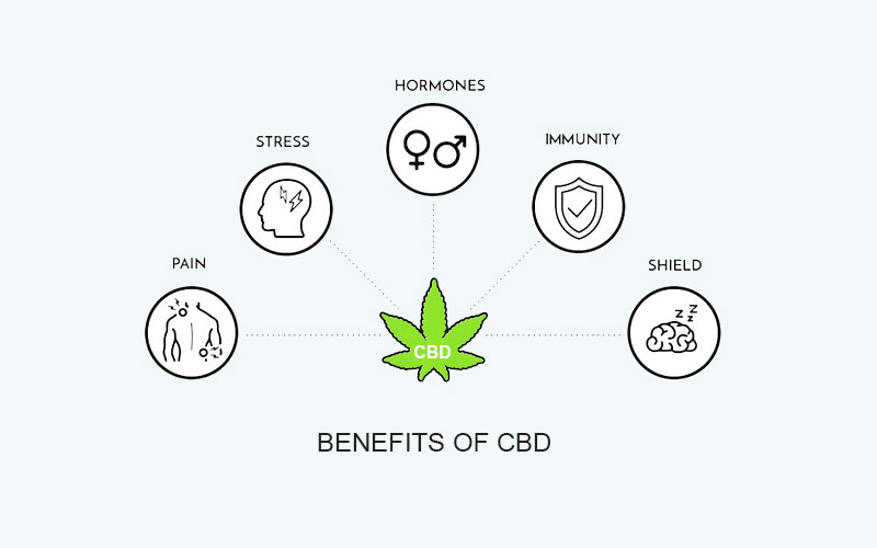 Eliminate Pain The Natural Way With Cannabidiol Based Pain Cream
